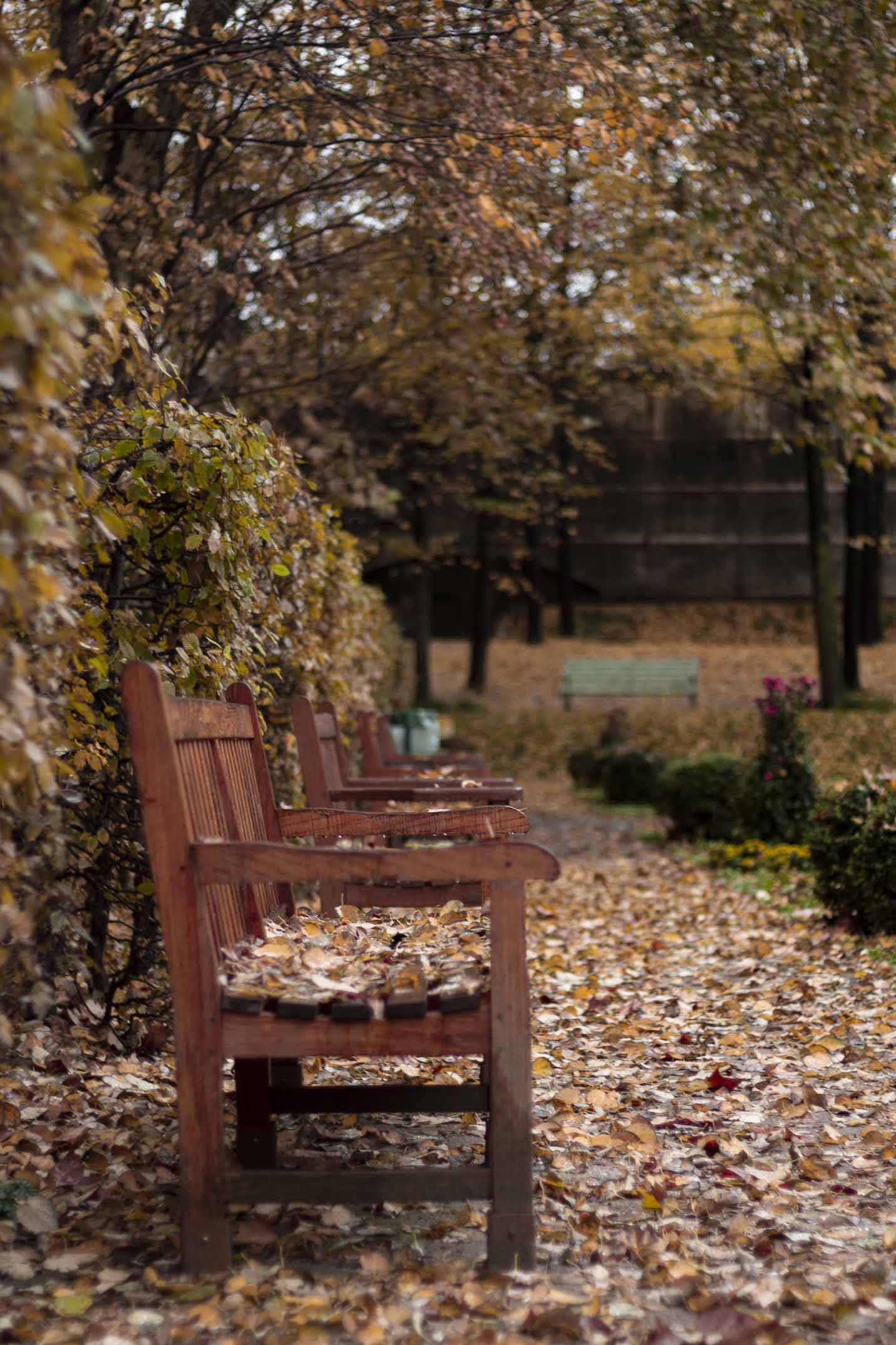 Public Bench